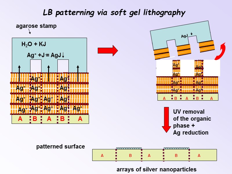 LB patterning via soft gel lithography agarose stamp H2O + KJ Ag+ Ag+ Ag+